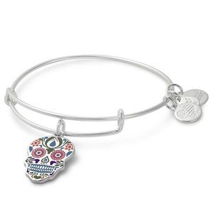 💀 Alex and Ani Color Infusion Calavera Bangle NWT